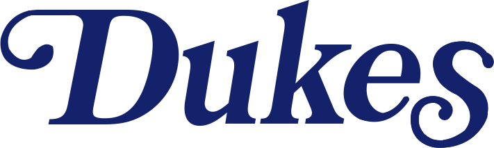 Duquesne Dukes 1973-1976 Wordmark Logo diy iron on heat transfer